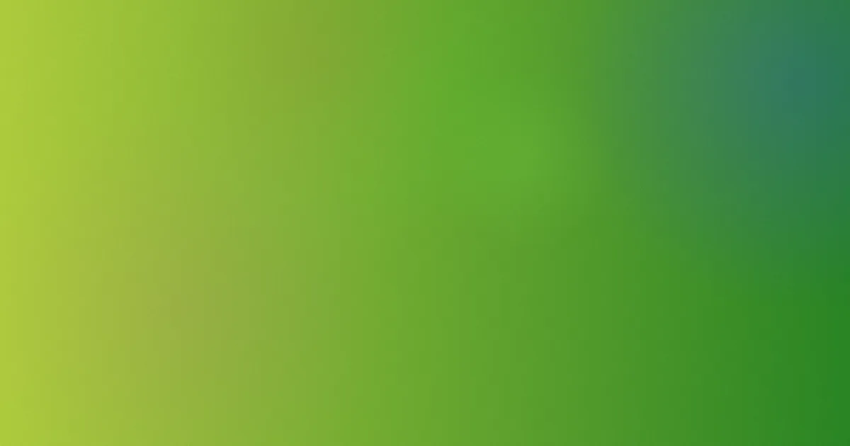 学战都市攻略：新手观看路线